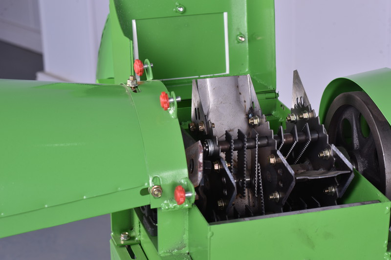 1733282292139564.jpg DSC_4568.JPG